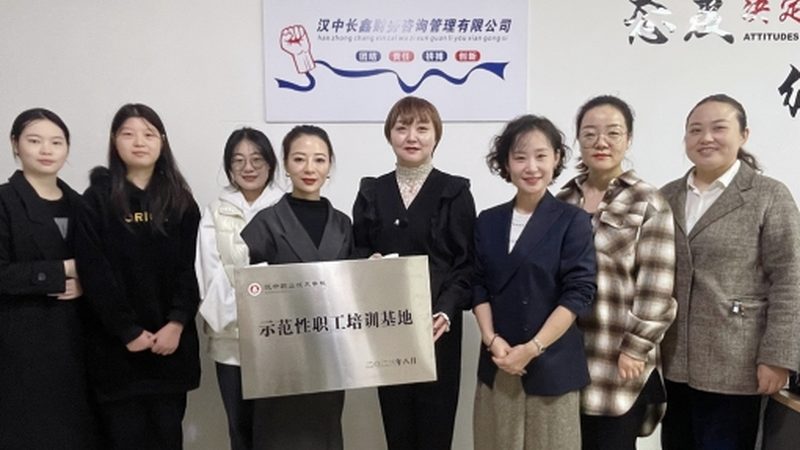 解码管理咨询行业：分类说明书揭秘**